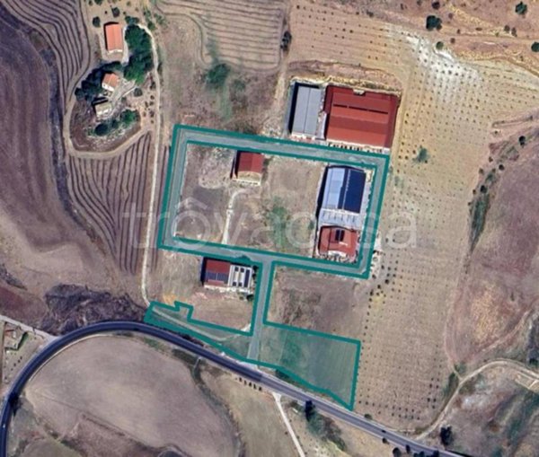 terreno agricolo in vendita a Delia