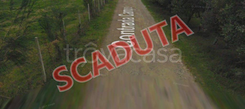 terreno agricolo in vendita a Delia