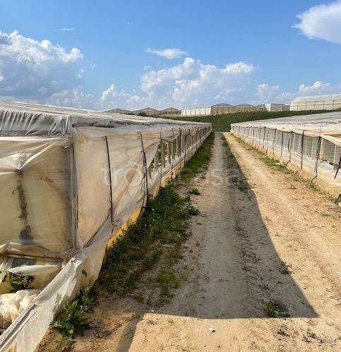 terreno agricolo in vendita a Gela