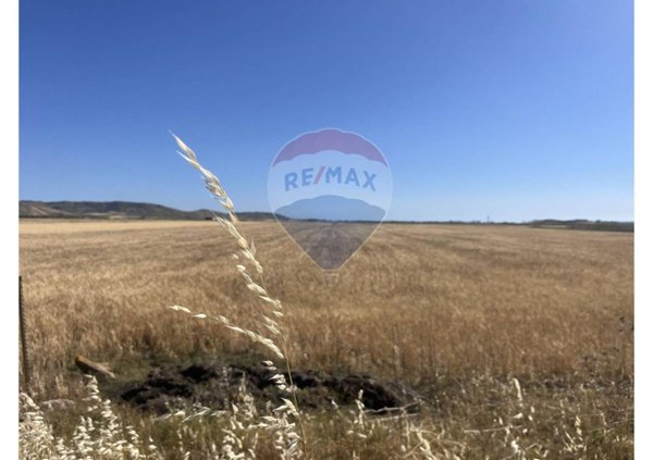 terreno agricolo in vendita a Gela