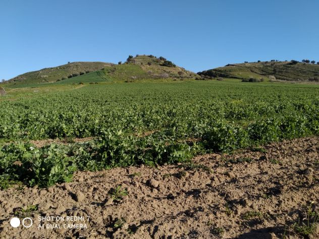 terreno agricolo in vendita a Gela