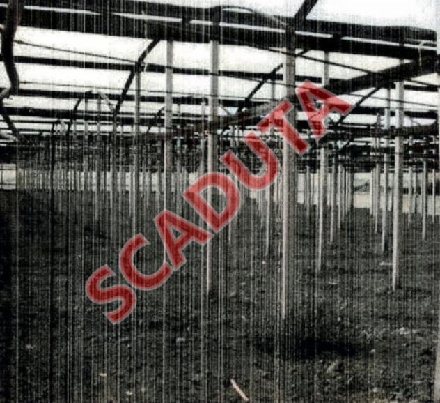 terreno agricolo in vendita a Gela