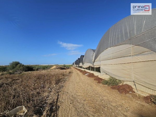 negozio in vendita a Gela