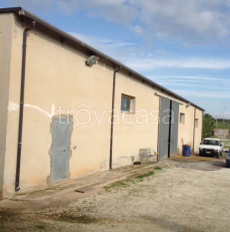 immagine annuncio 0 di 10