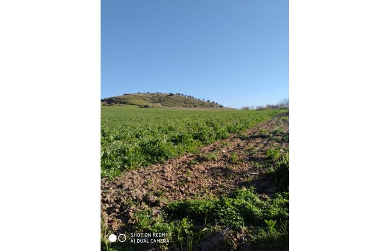 terreno agricolo in vendita a Gela