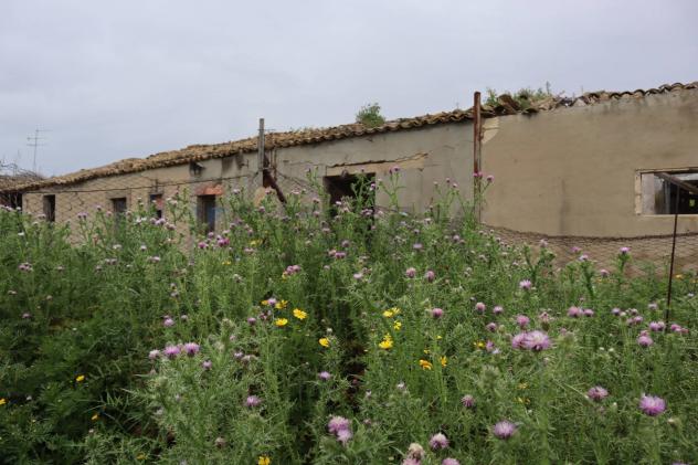 casa indipendente in vendita a Gela