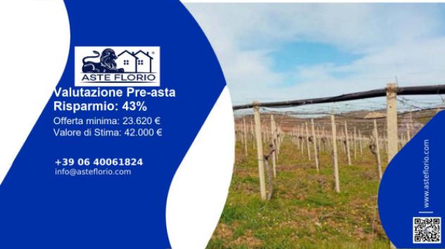 terreno agricolo in vendita a Mazzarino