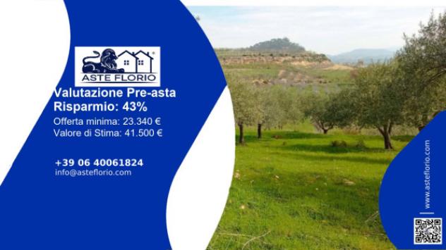 terreno agricolo in vendita a Mazzarino