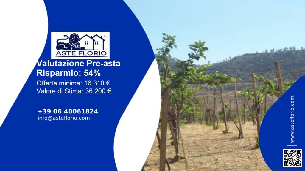 terreno agricolo in vendita a Mazzarino