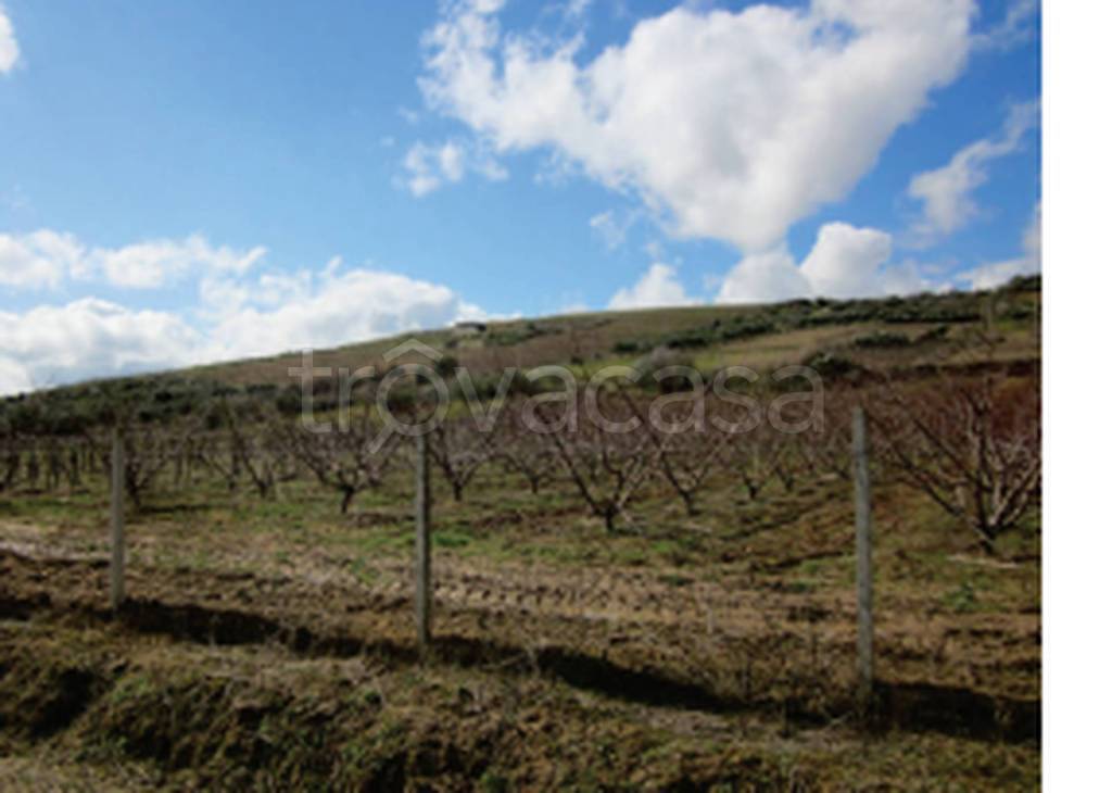 terreno agricolo in vendita a Mazzarino