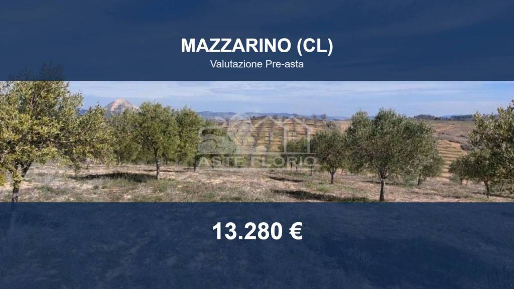 terreno agricolo in vendita a Mazzarino