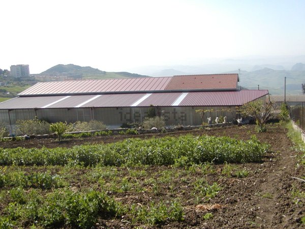 terreno agricolo in vendita a Mussomeli