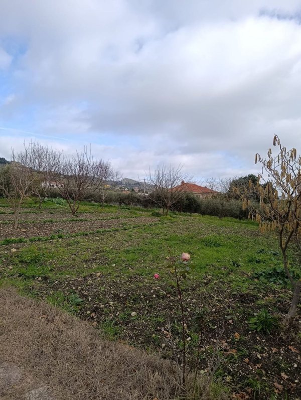 casa indipendente in vendita a Mussomeli