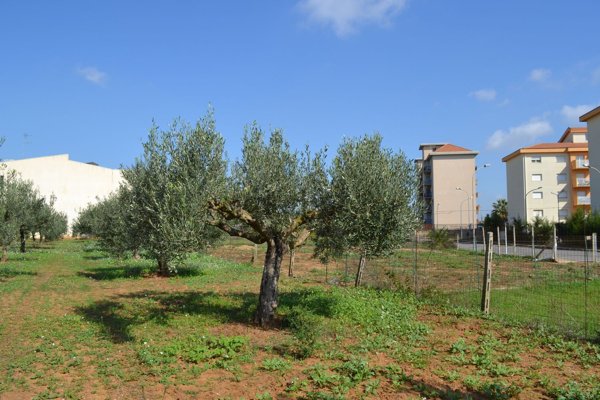 villa in vendita a Niscemi