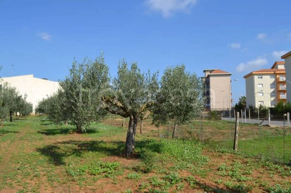 appartamento in vendita a Niscemi