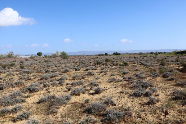 terreno edificabile in vendita a Niscemi