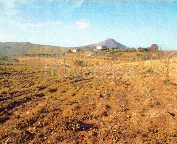 terreno agricolo in vendita a Riesi