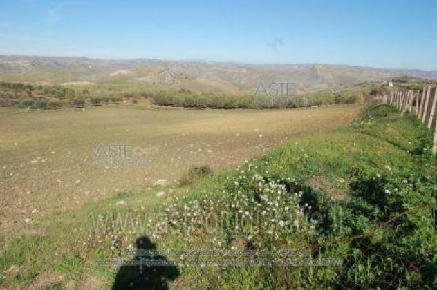 terreno agricolo in vendita a Riesi