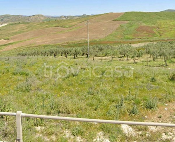 terreno agricolo in vendita a Riesi