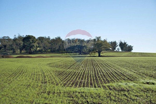 appartamento in vendita a Riesi
