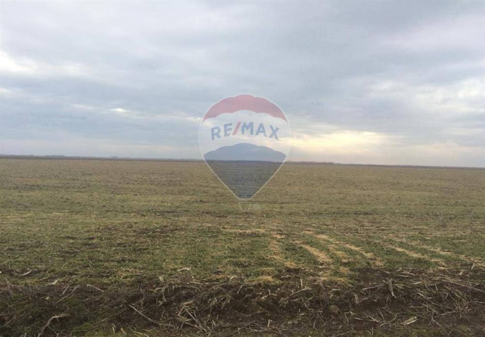 appartamento in vendita a Riesi