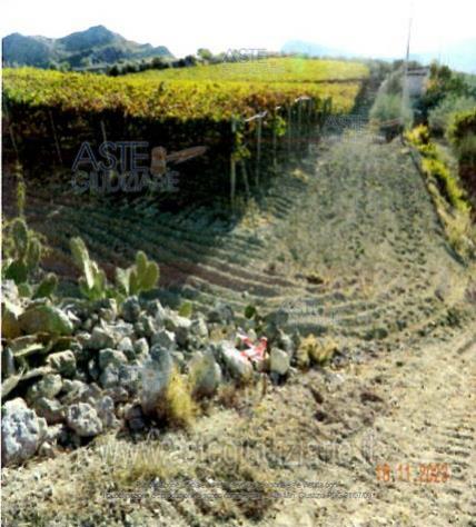 terreno agricolo in vendita a Riesi