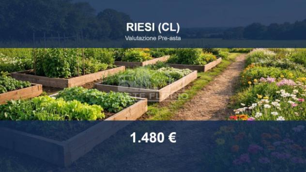 terreno agricolo in vendita a Riesi