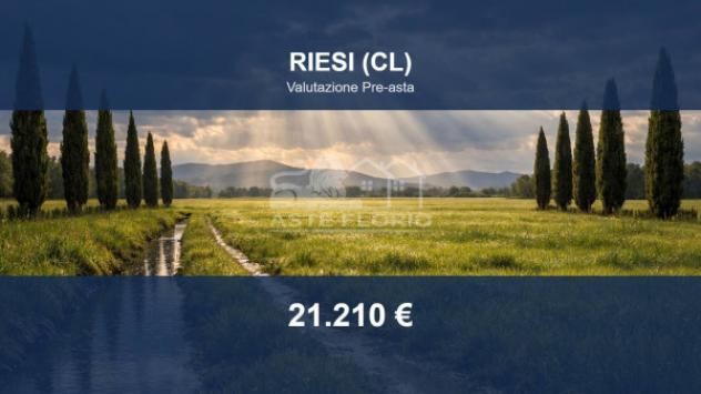 terreno agricolo in vendita a Riesi