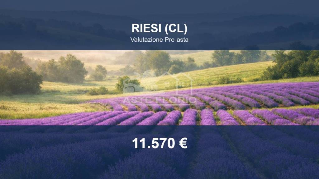terreno agricolo in vendita a Riesi