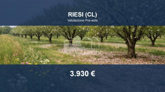 terreno agricolo in vendita a Riesi