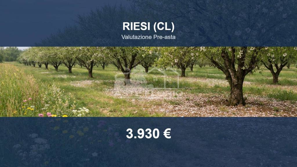 terreno agricolo in vendita a Riesi