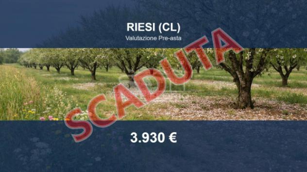 terreno agricolo in vendita a Riesi