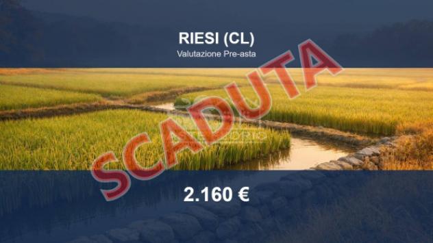 terreno agricolo in vendita a Riesi