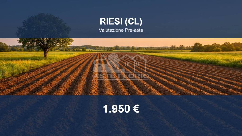 terreno agricolo in vendita a Riesi