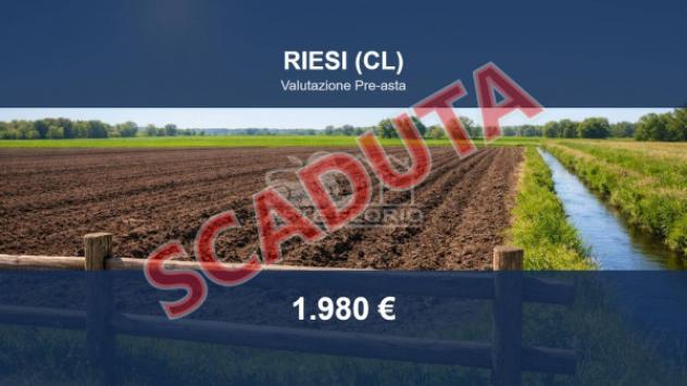 terreno agricolo in vendita a Riesi