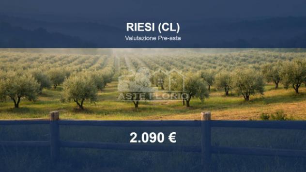 terreno agricolo in vendita a Riesi