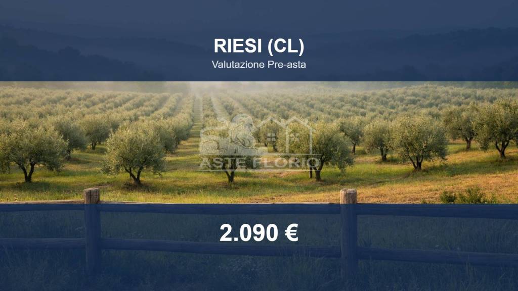 terreno agricolo in vendita a Riesi