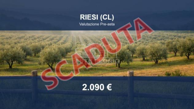 terreno agricolo in vendita a Riesi
