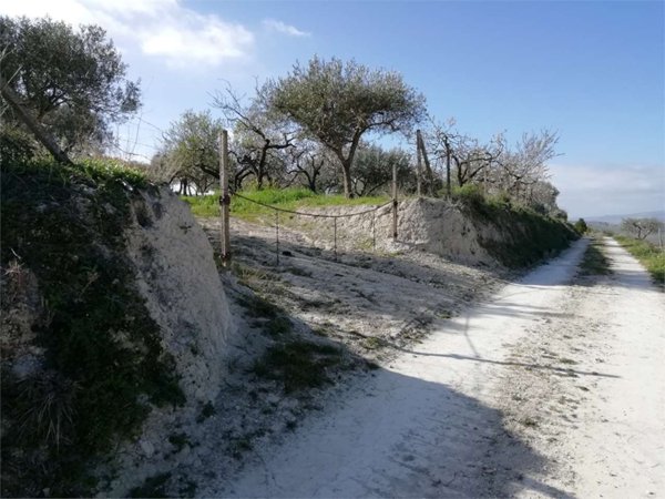 terreno agricolo in vendita a San Cataldo