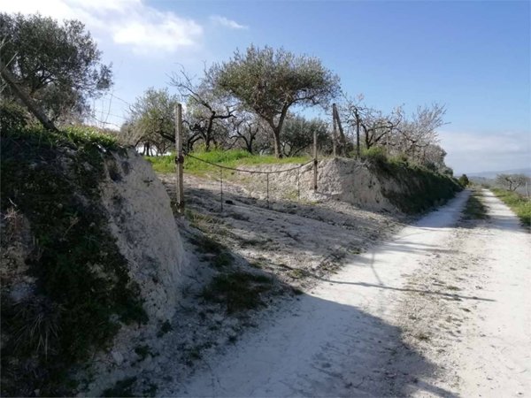 terreno agricolo in vendita a San Cataldo