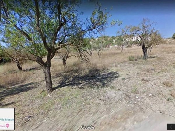 terreno agricolo in vendita a San Cataldo