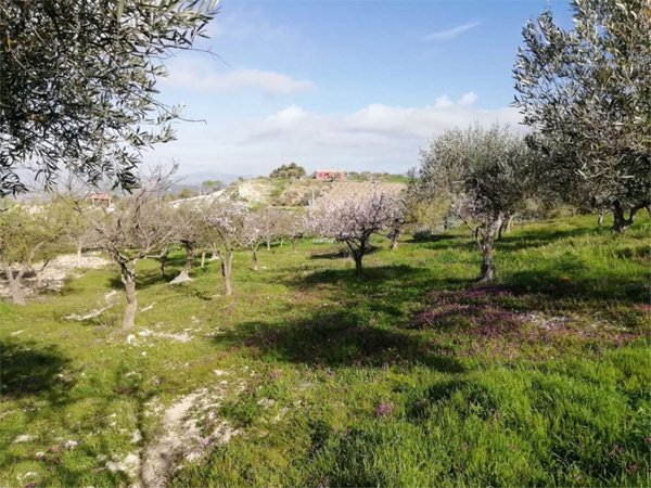 terreno agricolo in vendita a San Cataldo