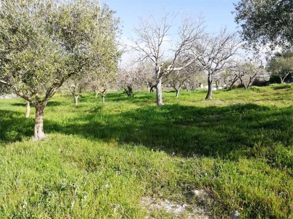 terreno agricolo in vendita a San Cataldo