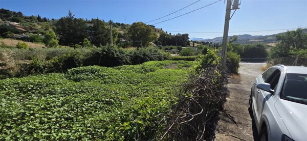 terreno agricolo in vendita a San Cataldo