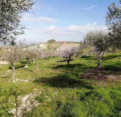 terreno agricolo in vendita a San Cataldo