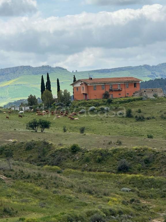 terreno agricolo in vendita a Santa Caterina Villarmosa