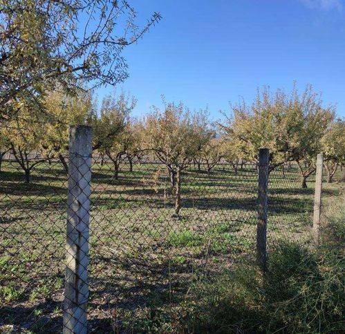 terreno agricolo in vendita a Serradifalco