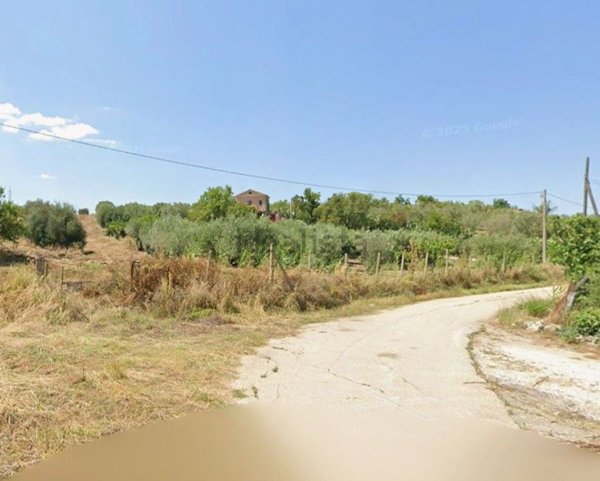 terreno agricolo in vendita a Serradifalco