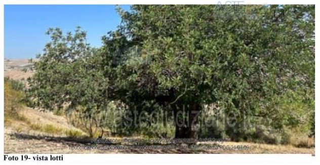 terreno agricolo in vendita a Sommatino