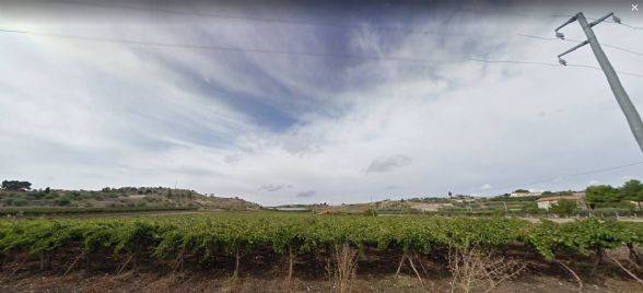 terreno agricolo in vendita a Sommatino